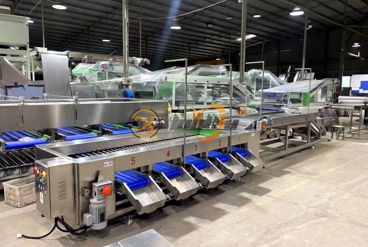 راهنمای جامع انتخاب و خرید دستگاه سورتینگ مناسب برای کسب وکارهای کشاورزی و بسته بندی